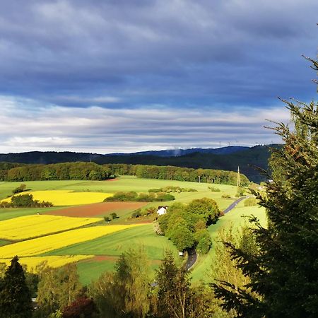 Geraeumige 2-Z Wohnung Im Gruenen, Garten, Terrasse, Ruhig, Natur, Phantastischer Blick! Marburg Eksteriør billede