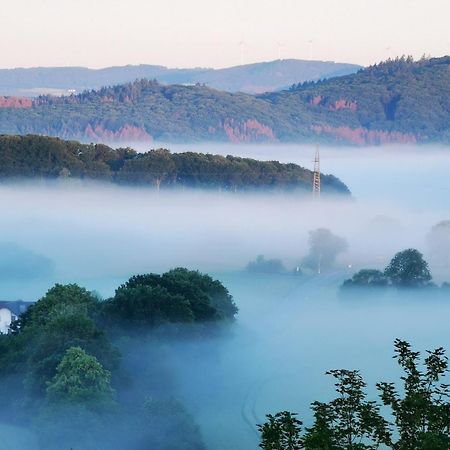 Geraeumige 2-Z Wohnung Im Gruenen, Garten, Terrasse, Ruhig, Natur, Phantastischer Blick! Marburg Eksteriør billede