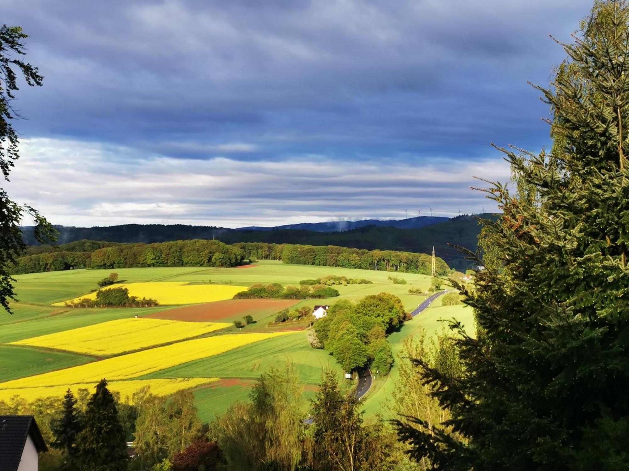 Geraeumige 2-Z Wohnung Im Gruenen, Garten, Terrasse, Ruhig, Natur, Phantastischer Blick! Marburg Eksteriør billede