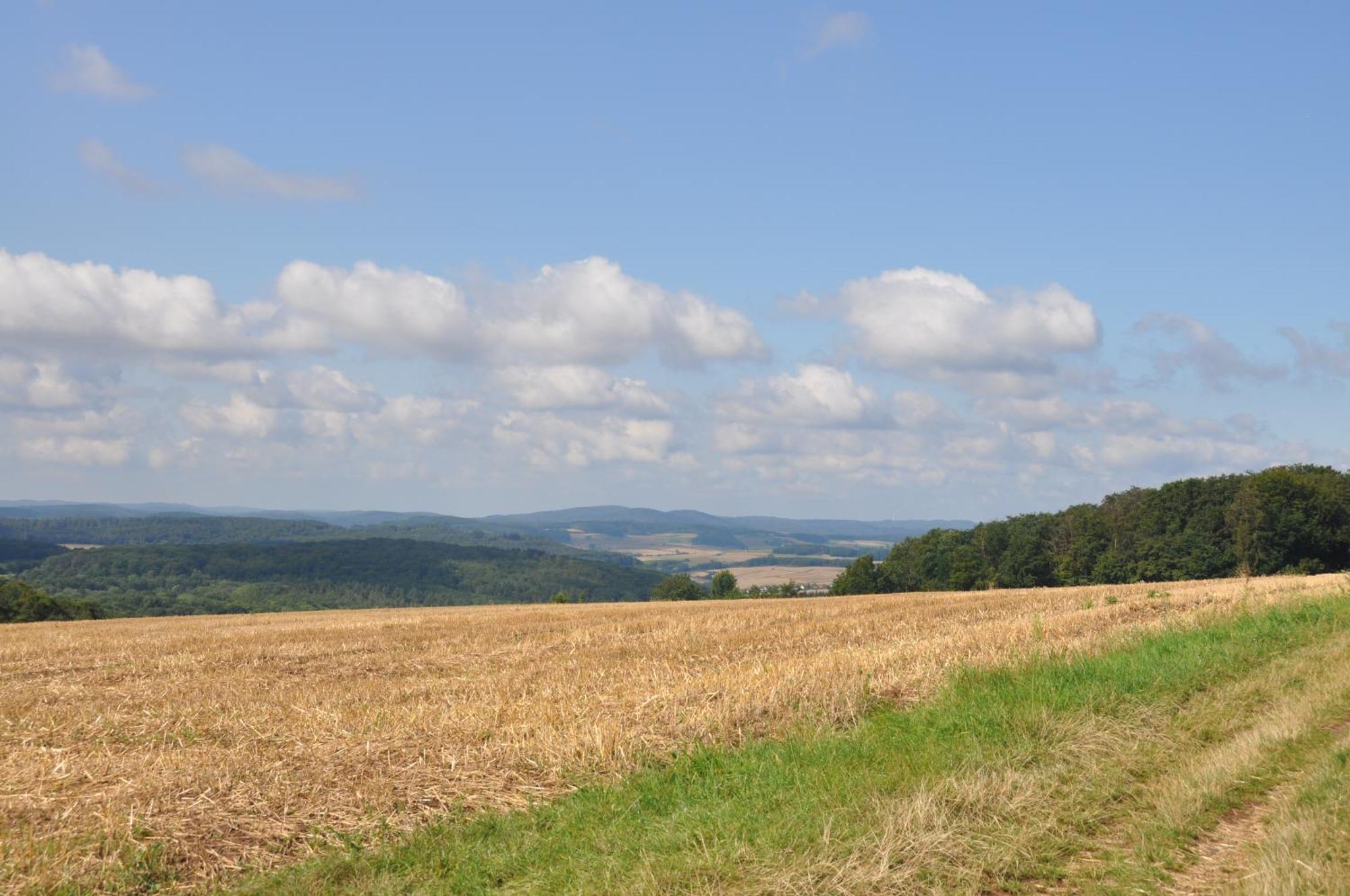 Geraeumige 2-Z Wohnung Im Gruenen, Garten, Terrasse, Ruhig, Natur, Phantastischer Blick! Marburg Eksteriør billede